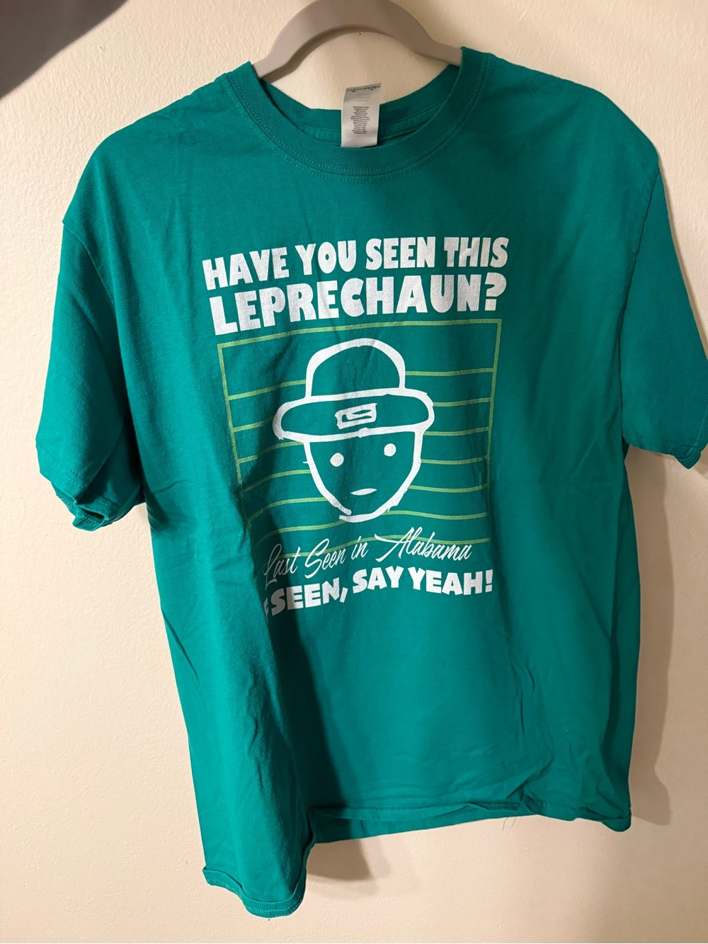 Gildan Teal 'Have You Seen This Leprechaun?' Graphic Tee